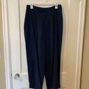 Everlane Put Together Pleat Pant